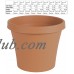 Bloem Terra Pot Planter 4" Terra Cotta   567339422